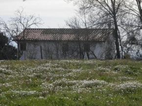 Roman Countryside! House surrounded by nature
